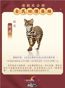 天龙八部私服运营